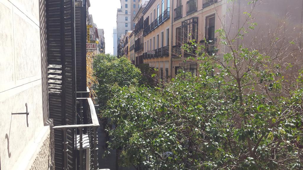 Hostal Rico - Madrid, Madrid
